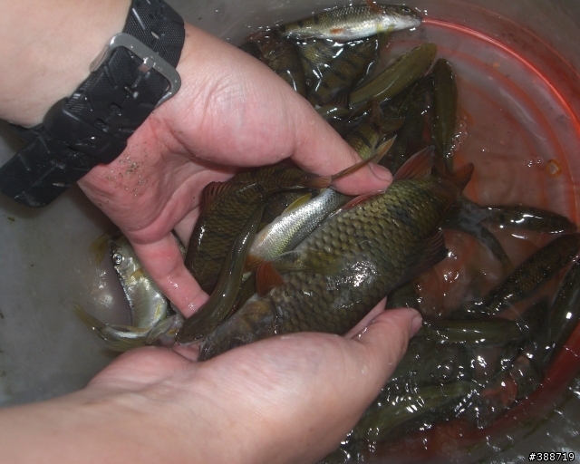 小山溝釣遊