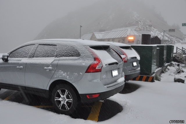 小銀出遊季Vol.1首次長途旅行遇見好朋友雪中行駛愛上小昆蟲篇