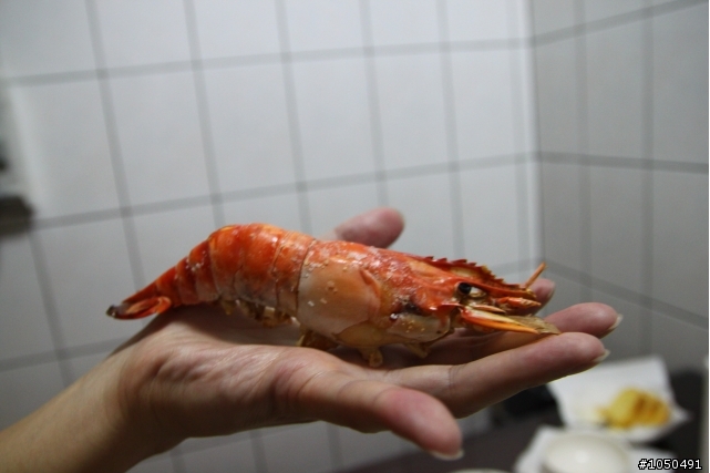 [竹圍漁港直送]水煮~烤~沙蝦兩吃~