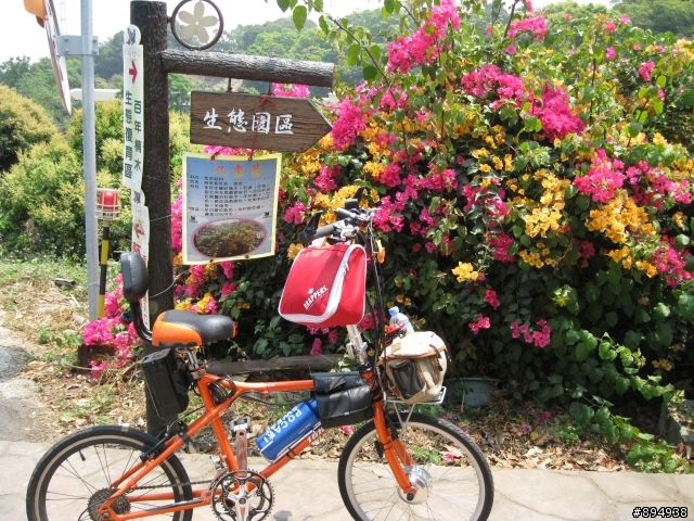 彰化福田桐花生態園區~~~~賞桐花
