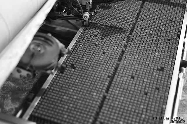 分享 Leitz Summicron 35mm F2 8-Elements