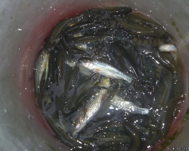 小山溝釣遊