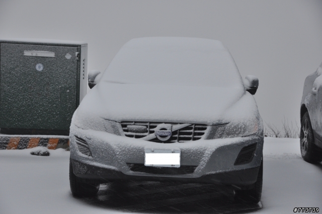 小銀出遊季Vol.1首次長途旅行遇見好朋友雪中行駛愛上小昆蟲篇