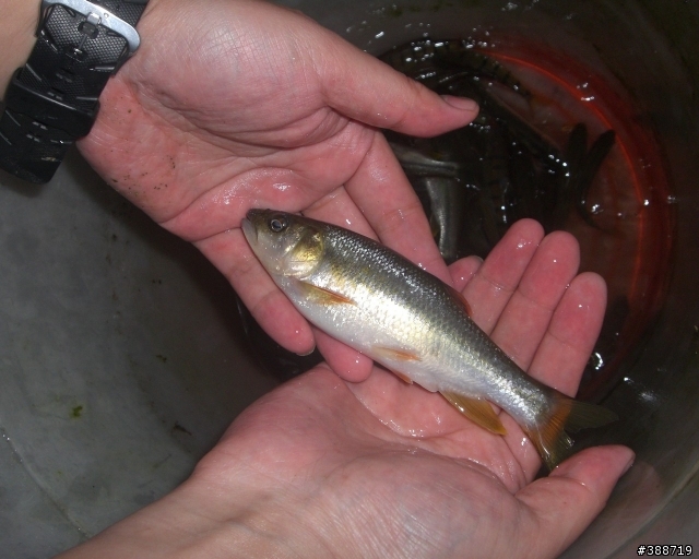 小山溝釣遊