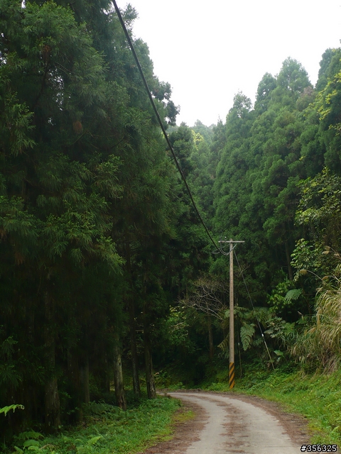 [遊記] 跳動和速度的迷戀, 羅山林道北線單車行
