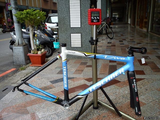 [分享]澳洲 TESCHNER DIVA 女性公路車