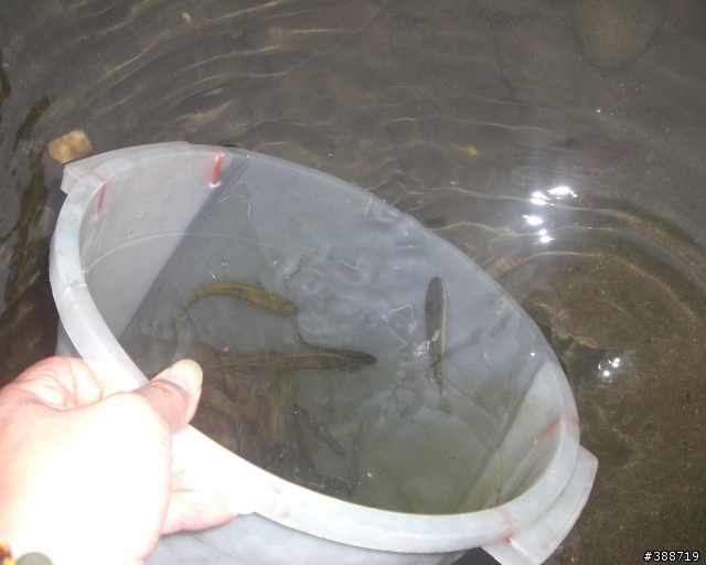 小山溝釣遊