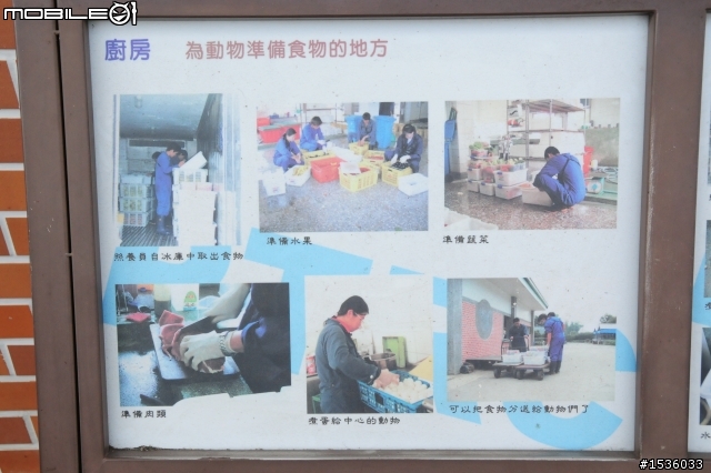 開著Luxgen SUV到屏科大野生動物收容中心，給家人一趟生態保育之旅。