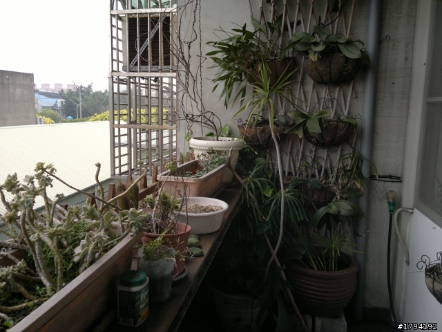 [開箱]N8，我的第一隻智慧型手機