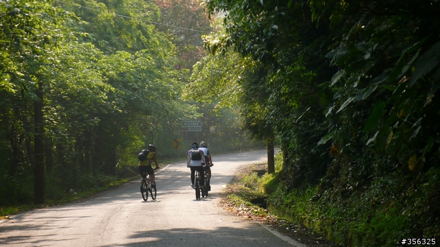 [遊記] 跳動和速度的迷戀, 羅山林道北線單車行