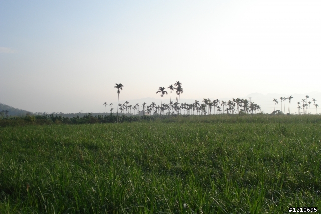 環島第三天瑞穗~知本溫泉