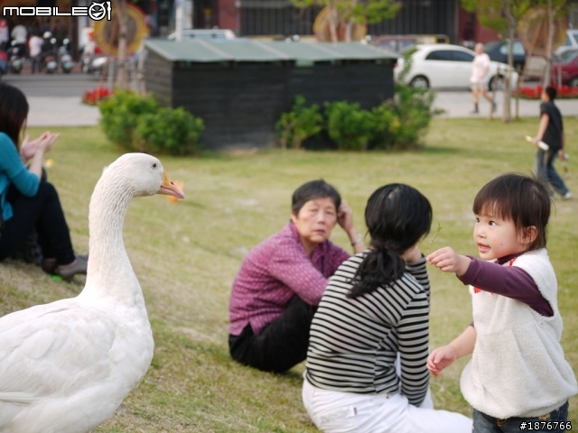 Panasonic Lumix G 45-200mm F4.0-5.6  開箱文