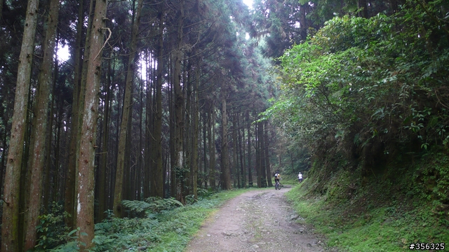 [遊記] 跳動和速度的迷戀, 羅山林道北線單車行