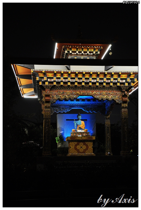 夜晚花博
