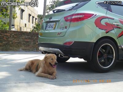 我的ix35 &  黃金獵犬...南投一遊