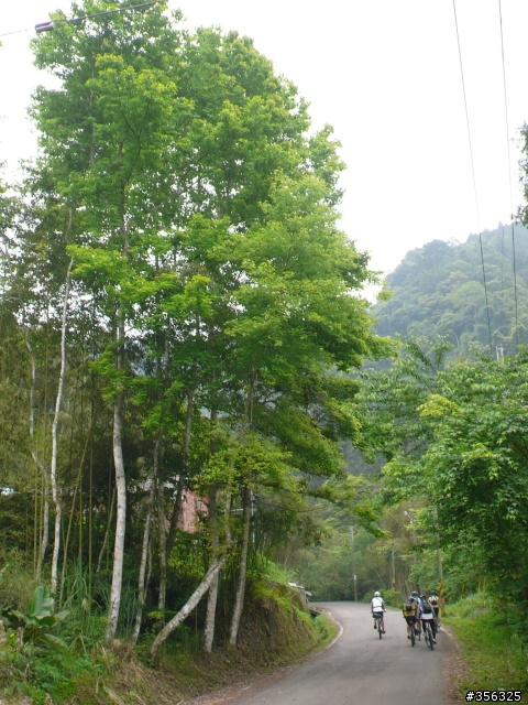 [遊記] 跳動和速度的迷戀, 羅山林道北線單車行