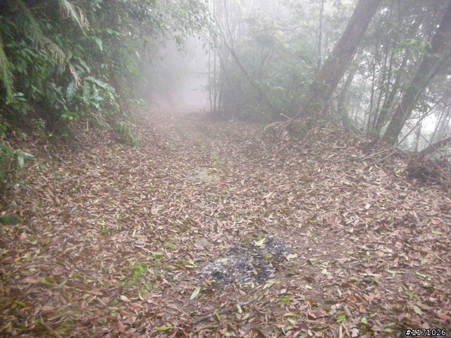 補遺---十三分山產道與李山神宮