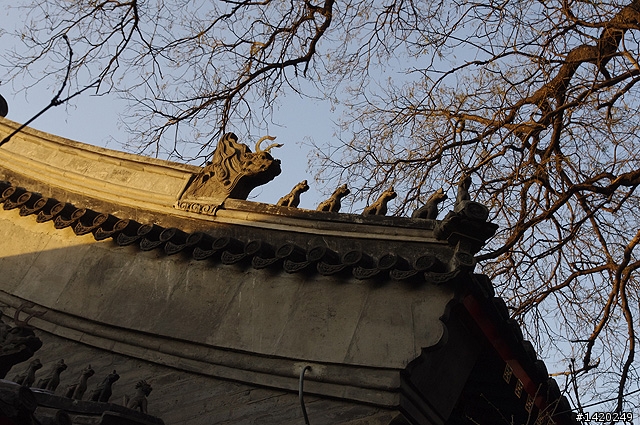 北京法源寺