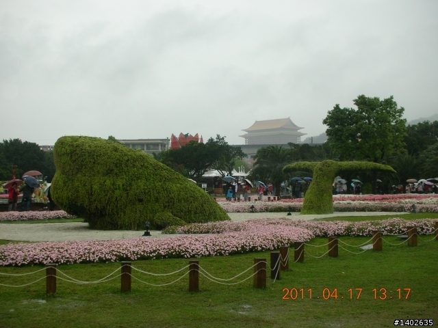 下雨天的花博