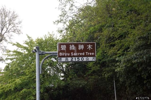 履行。旅行-New Mazda2橫跨中橫公路