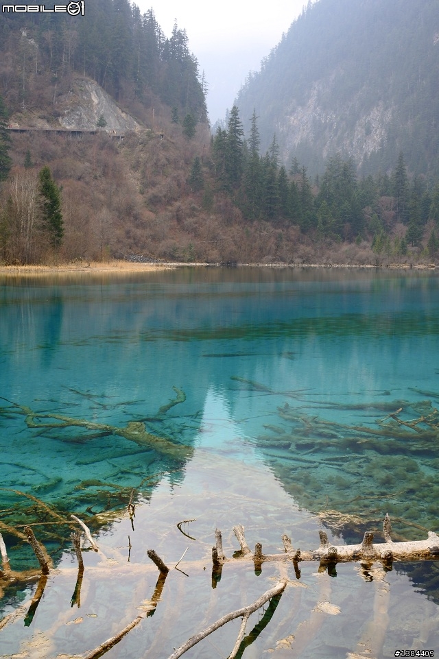 黃山歸來不看山,九寨歸來不看水 - 記初春遊九寨溝