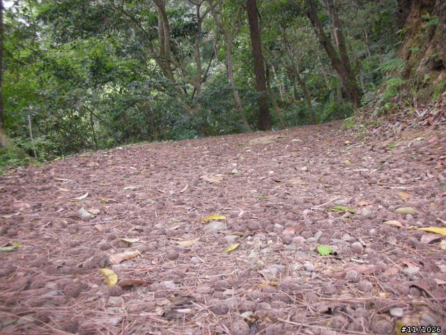 補遺---十三分山產道與李山神宮