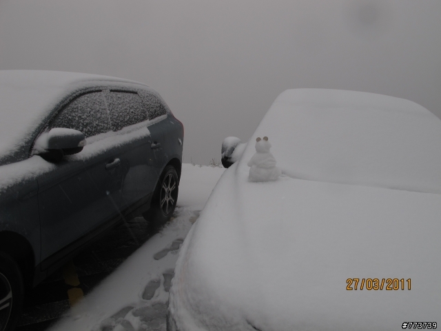 小銀出遊季Vol.1首次長途旅行遇見好朋友雪中行駛愛上小昆蟲篇