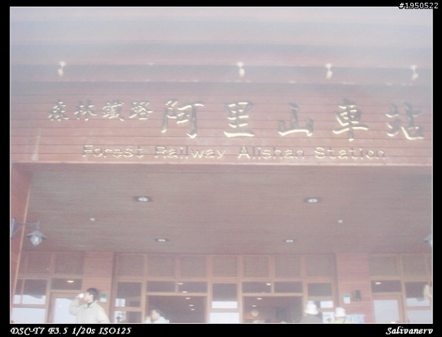 100/ 3/26我和小老公之阿里山熱血賞櫻一日遊