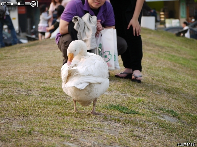 Panasonic Lumix G 45-200mm F4.0-5.6  開箱文