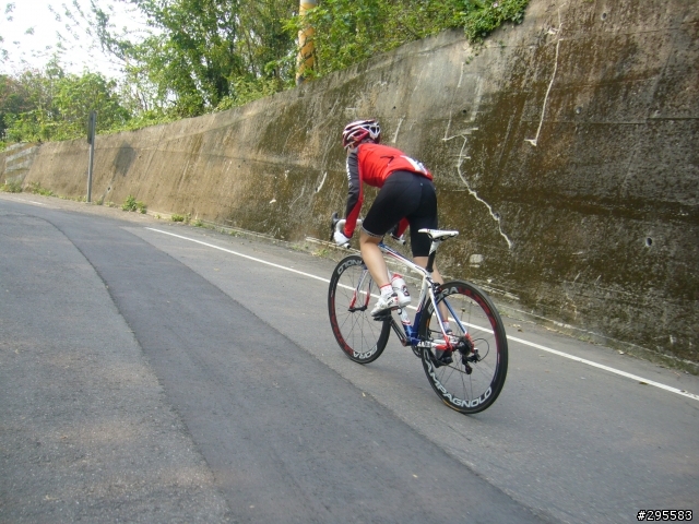 Colnago C59 仕女版