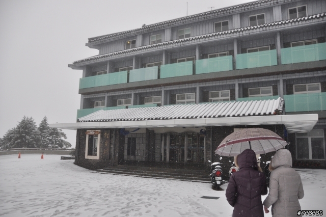 小銀出遊季Vol.1首次長途旅行遇見好朋友雪中行駛愛上小昆蟲篇