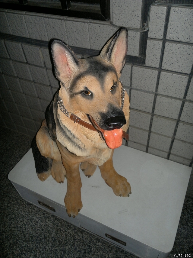 [開箱]N8，我的第一隻智慧型手機