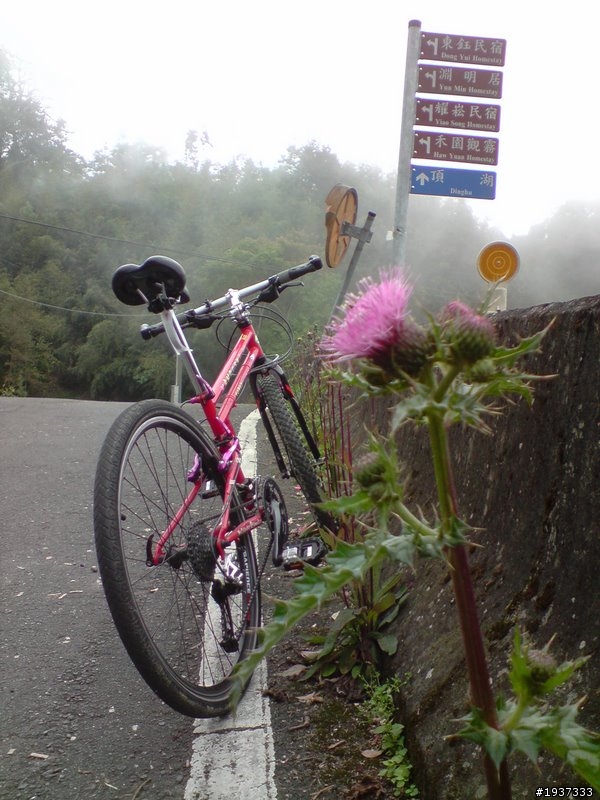 阿里山石棹MTB祕徑