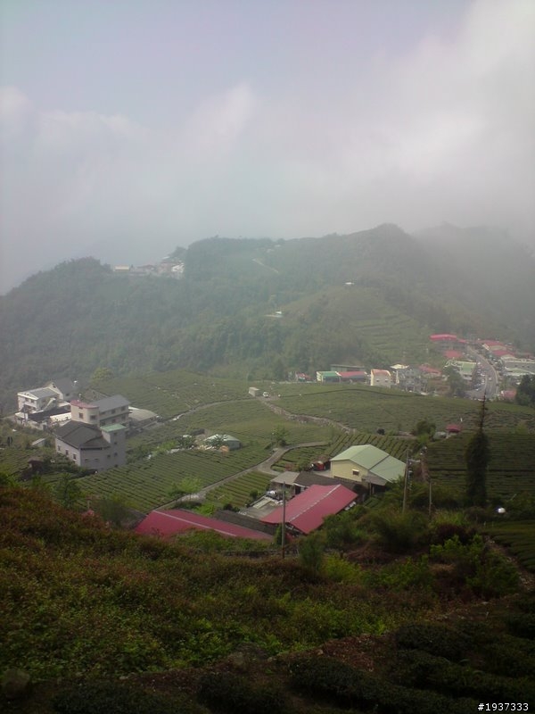 阿里山石棹MTB祕徑