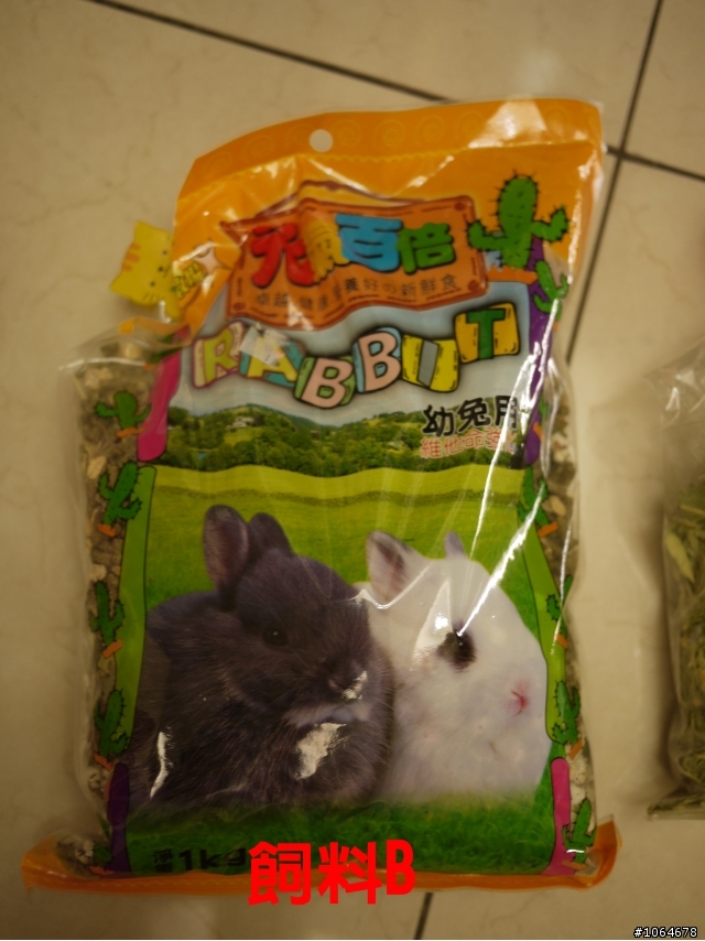 有迷有養兔達人來幫老衲解惑