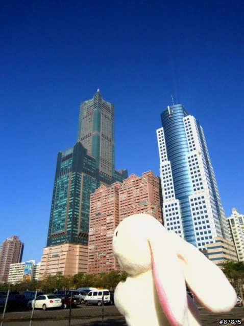 兔 . 環島