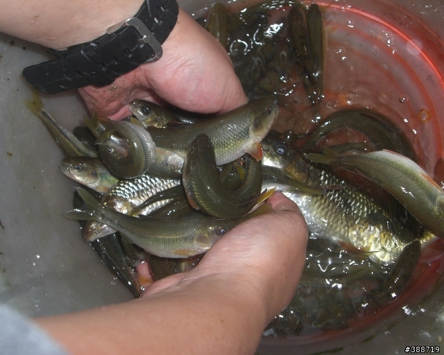 小山溝釣遊
