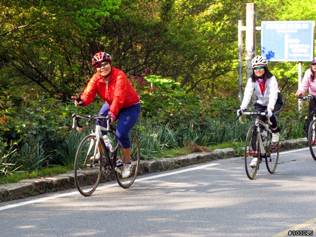 (照片分享)↖↖☆★紅蜻蜓車隊★☆↗↗2011年4月9~10日【春遊武陵找桃花】