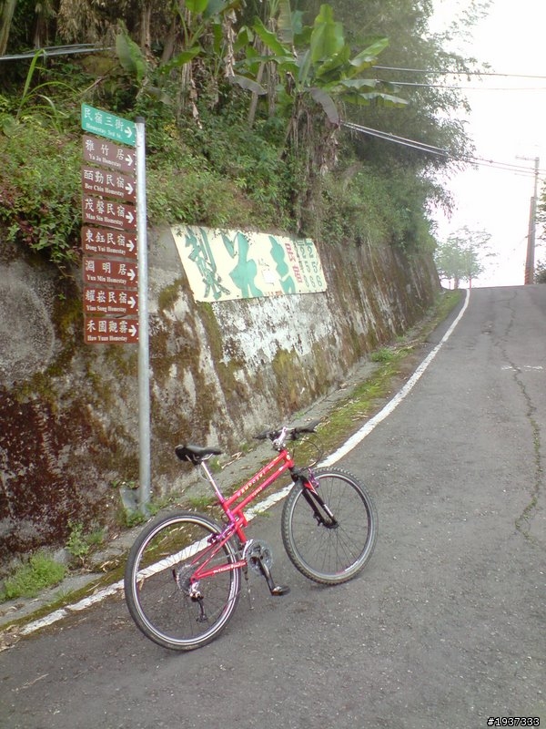 阿里山石棹MTB祕徑