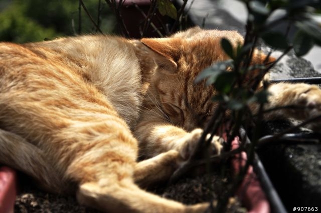 請大家不客氣的給予指導吧!!