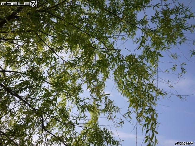 GF2隨手拍請大家指教一下