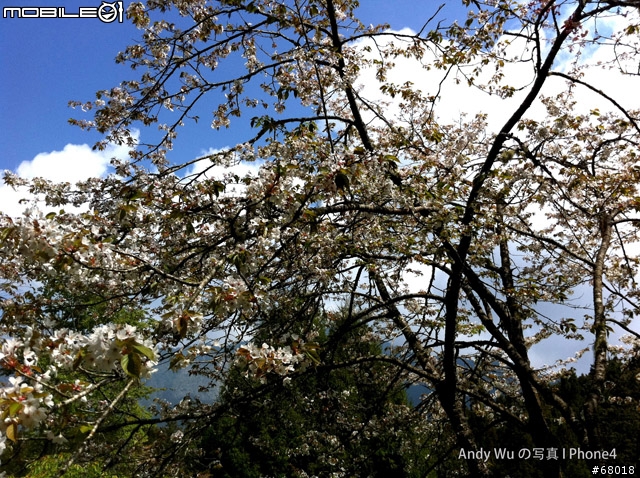 [04.09~04.10]安董之超級瘋狂阿里山遊記!!!