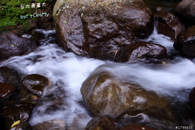楓葉の台北奧萬大