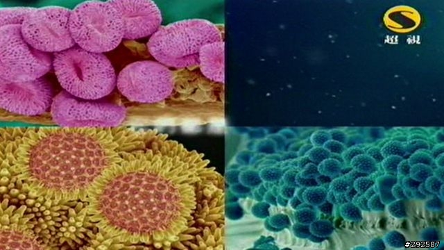 [不專業開箱] 圓剛藍光多媒體-雙頻電視錄放影機 H201
