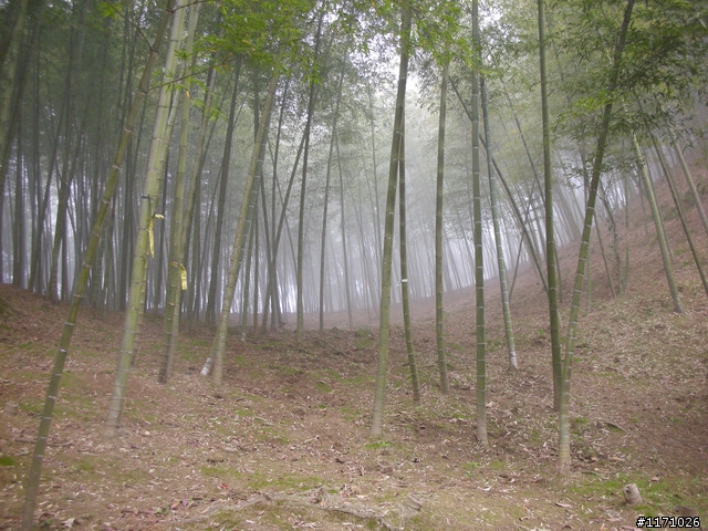 補遺---十三分山產道與李山神宮