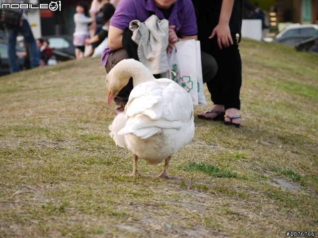 Panasonic Lumix G 45-200mm F4.0-5.6  開箱文