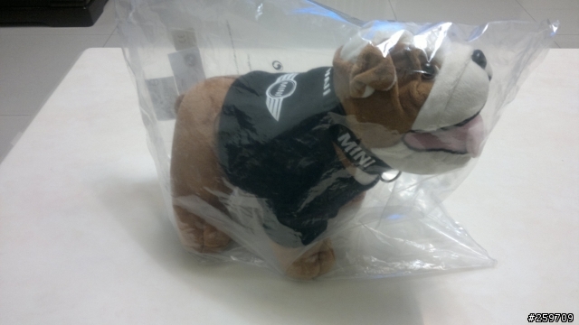 MINI英國鬥牛犬   開箱