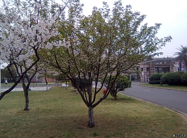 寧波行01_住