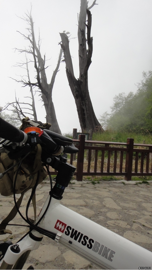 勤能補拙之再接再厲篇(台18與21連線春騎之阿里山 經塔塔加 到水里)