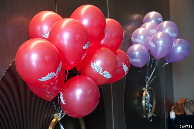 《 熊寶貝 》 Dream Girls 金士頓代言人 感謝記者會